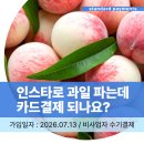 수기결제_다날3 | 인스타 공구·프리랜서도 카드결제 됩니다, 비사업자 수기결제 후기