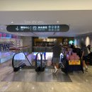 타워무역 | [대만/타이페이/신이] <딘타이펑 101점 鼎泰豐 > 타이베이 101타워 세계무역센터점 딤섬 후기