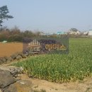 용당마을회관 이미지