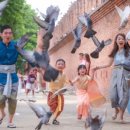 자오헤어 이미지