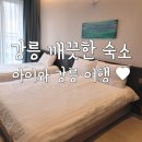 지에스25고령시장길점 | 강릉 숙소 추천 깨끗한 가족숙소 강릉 솔라뷰 호텔리조트 디럭스 트윈룸 아이 동반 후기