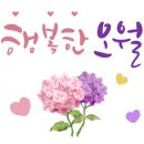 댄스(줌바골드) 이미지