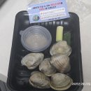 바로이집 | 배달음식도 이렇게 맛있을 줄이야! 이집 잘하네 모둠회&amp;조개탕 솔직 후기[성남]