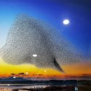 유달산둘레길 이미지