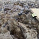 수선과 세탁 이미지