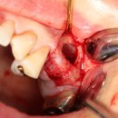 365안락한치과의원 이미지