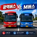 G6005 | 광역버스 vs M버스, 뭐가 다를까? 취업 조건·급여까지 2026 완전 정리
