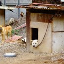 수산리-4 이미지