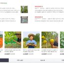 참좋은몰 이미지