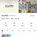 모노퍼피 이미지