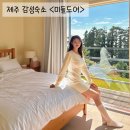 미들 도어 | 제주 감성숙소 미들도어 힐링 후기
