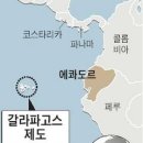 `갈라파고스 신드롬`과 일본의 휴대폰 업체들 이미지