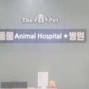 강이네펫샵 이미지