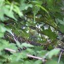 우연한발견 이미지