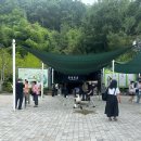 소나무 예술극장 이미지