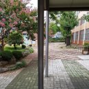 대구남산초등학교 이미지