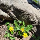 마니산관광안내소 | 100대 명산 서른세 번째 강화 평야와 서해를 품은 마니산