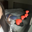 개샤방 이미지