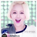 펑키스타
