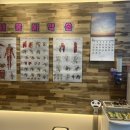 내손안마원 이미지