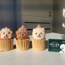 메이드알콩 이미지