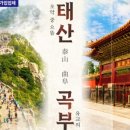 (주)태산투어