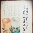 샴푸나라