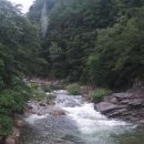 월악산 꽃피는 산골 이미지