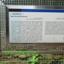 달래내길 이미지