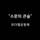 ＜260607＞ "소문의 큰숲" / 요다엘공동체 이미지