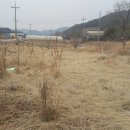 처사마을회관 이미지