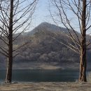 뷰좋은 충주 카누캠핑장 / B구역 후기