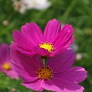 초지역 4번출구 뒤 이미지