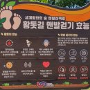 평화황토 이미지