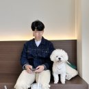 도그랑 나랑 이미지