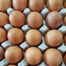 지현농장 이미지