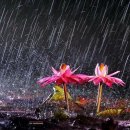 비우고채움 이미지