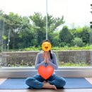 빠우사 | [제주요가 추천] 빠우사 숲속 컬러요가 후기｜혼자 제주 동부 뚜벅이 여행 코스🧘‍♀️