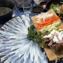 열정오징어 | 일산 라페스타 맛집 횟집 야장 열정오징어 내돈내산 후기