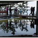 낙동강하구아미산전망대 이미지