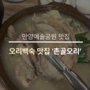 촌골오리 | 안양예술공원 백숙 맛집 '촌골오리' 내돈내산 후기ㅣ프라이빗 계곡 물놀이 가능