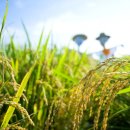 농업기술센터(우) 이미지