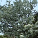 남목초교 이미지