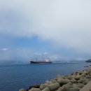 영도행정사 이미지