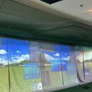 양프로골프스쿨 이미지