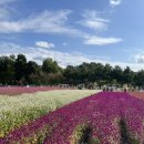 수유농원 이미지