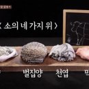 포대포 - 미추홀구 인하로 332 | 포대포