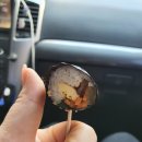 김밥전문공간얌얌 이미지