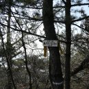 지영골프연습장 이미지