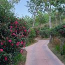 호텔 반월 이미지